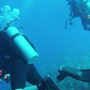 Blue Marlin Beach Resort – BTIA