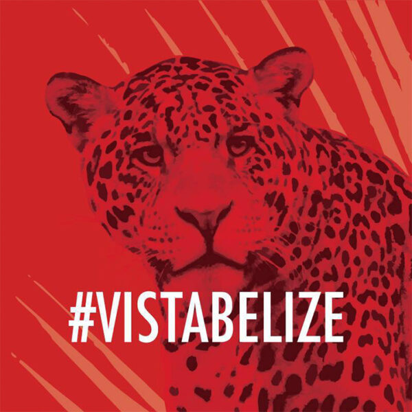 Vista Real Estate Services BTIA